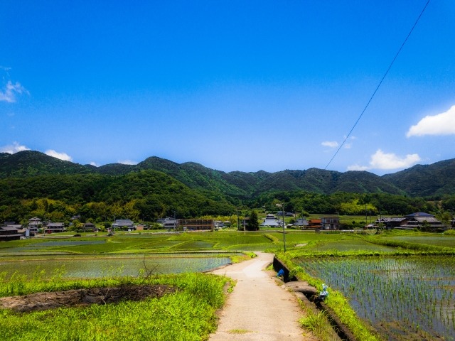 田舎の田んぼ道の画像