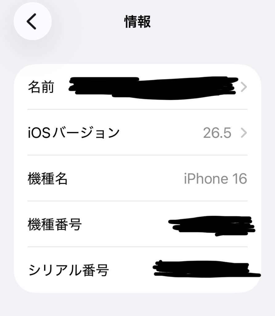 筆者のiPhoneモデル名画面のスクリーンショット画像